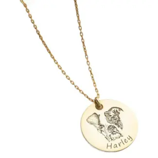 Personalized Stainless Steel Pet Memorial Necklace with Laser-Etched Pet Name "Bella" and Owner's Phone Number - Hypoallergenic Pet Keepsake Jewelry